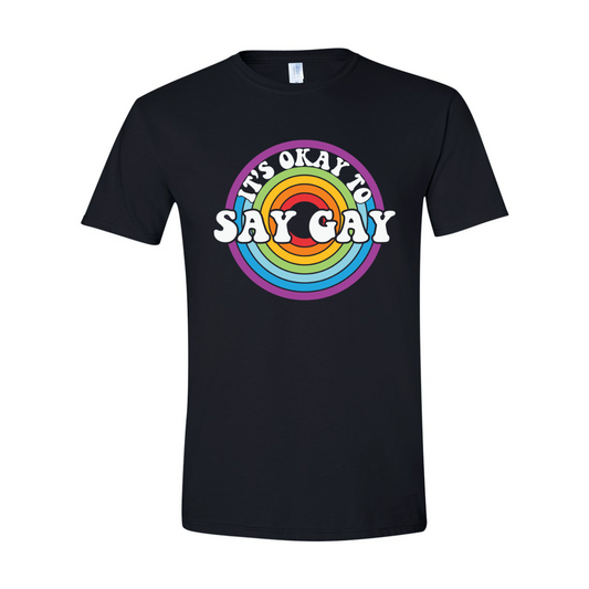 ADULT Unisex T-Shirt PMAA017 IT'S OKAY TO SAY GAY